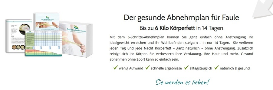 Abnehmen ohne Diät oder Sport, der gesunde Abnehmplan für Faule